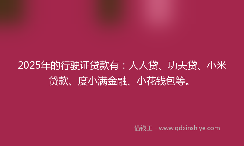 2025年的行驶证贷款有：人人贷、功夫贷、小米贷款、度小满金融、小花钱包等。
