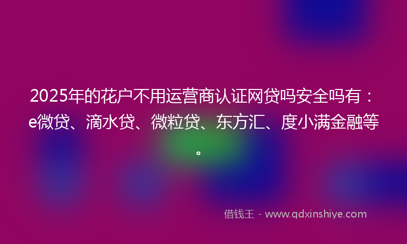 2025年的花户不用运营商认证网贷吗安全吗有：e微贷、滴水贷、微粒贷、东方汇、度小满金融等。