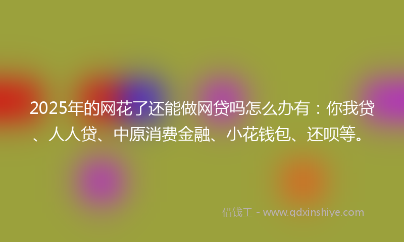 2025年的网花了还能做网贷吗怎么办有：你我贷、人人贷、中原消费金融、小花钱包、还呗等。