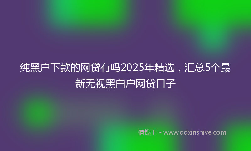 纯黑户下款的网贷有吗2025年精选，汇总5个最新无视黑白户网贷口子