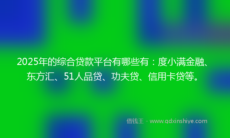 2025年的综合贷款平台有哪些有：度小满金融、东方汇、51人品贷、功夫贷、信用卡贷等。