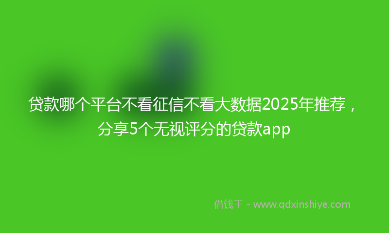贷款哪个平台不看征信不看大数据2025年推荐，分享5个无视评分的贷款app
