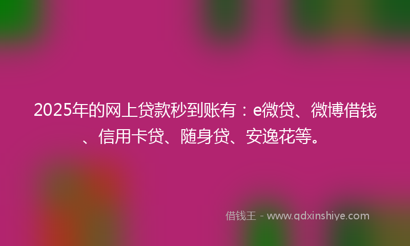 2025年的网上贷款秒到账有：e微贷、微博借钱、信用卡贷、随身贷、安逸花等。