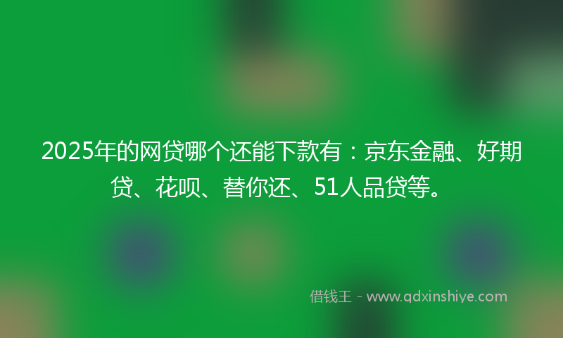 2025年的网贷哪个还能下款有：京东金融、好期贷、花呗、替你还、51人品贷等。