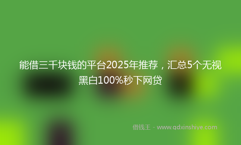 能借三千块钱的平台2025年推荐，汇总5个无视黑白100%秒下网贷