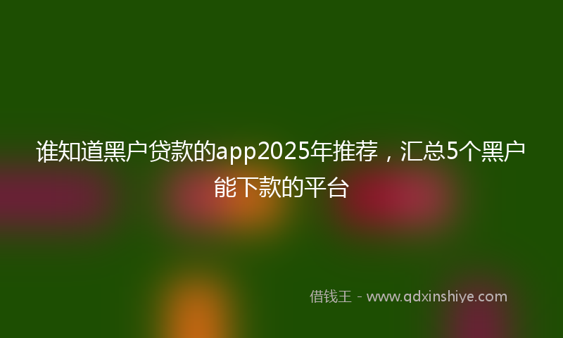 谁知道黑户贷款的app2025年推荐，汇总5个黑户能下款的平台