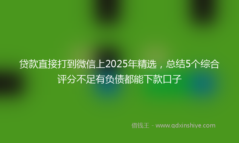 贷款直接打到微信上2025年精选，总结5个综合评分不足有负债都能下款口子