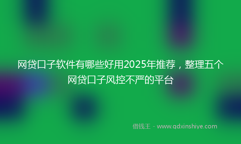 网贷口子软件有哪些好用2025年推荐，整理五个网贷口子风控不严的平台