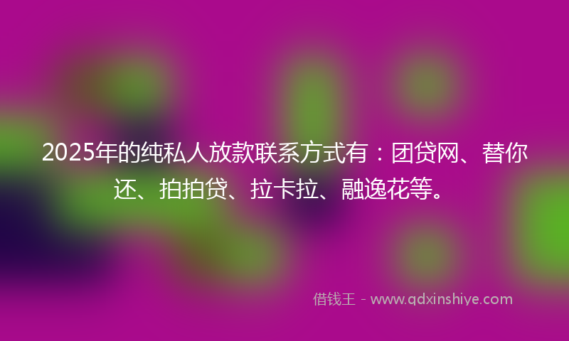 2025年的纯私人放款联系方式有：团贷网、替你还、拍拍贷、拉卡拉、融逸花等。