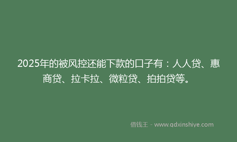 2025年的被风控还能下款的口子有：人人贷、惠商贷、拉卡拉、微粒贷、拍拍贷等。