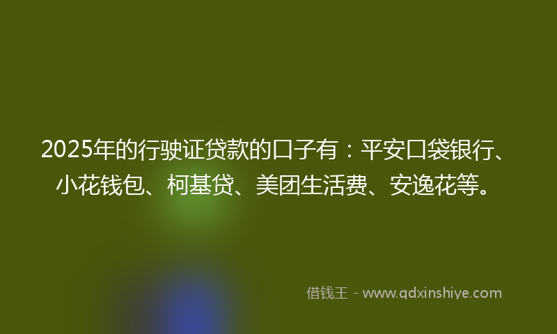 2025年的行驶证贷款的口子有：平安口袋银行、小花钱包、柯基贷、美团生活费、安逸花等。