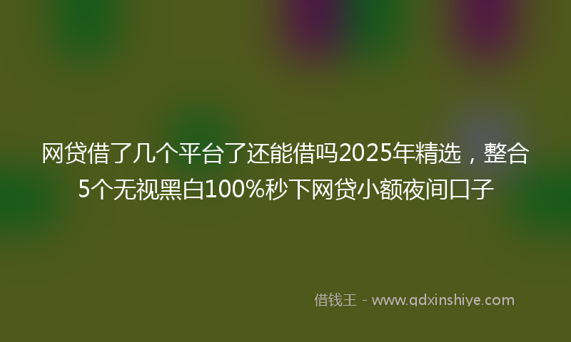 网贷借了几个平台了还能借吗2025年精选，整合5个无视黑白100%秒下网贷小额夜间口子