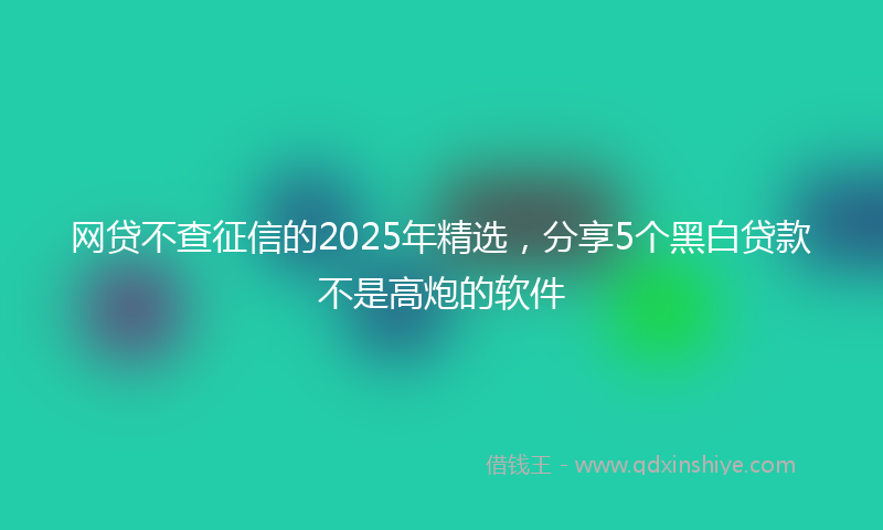 网贷不查征信的2025年精选，分享5个黑白贷款不是高炮的软件