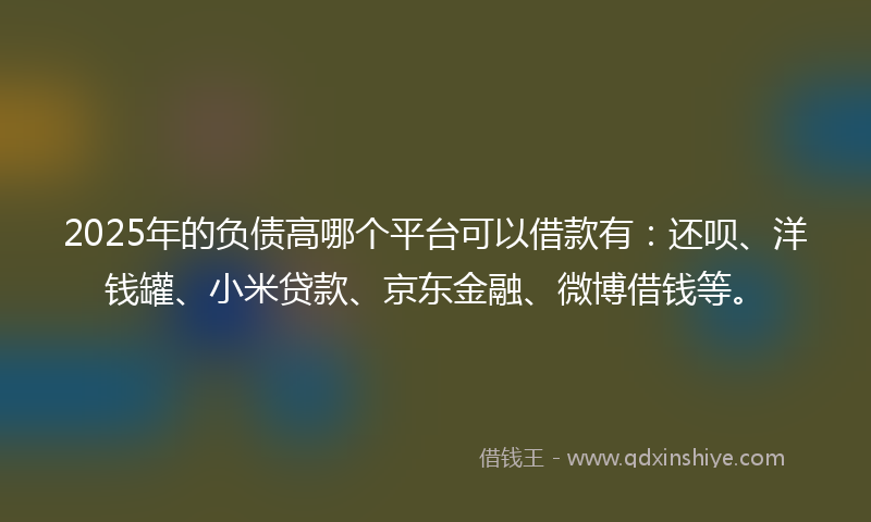 2025年的负债高哪个平台可以借款有：还呗、洋钱罐、小米贷款、京东金融、微博借钱等。