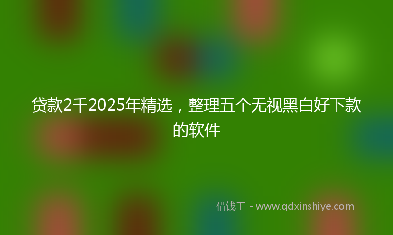 贷款2千2025年精选，整理五个无视黑白好下款的软件