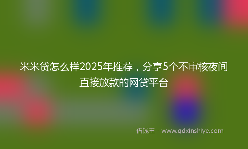 米米贷怎么样2025年推荐，分享5个不审核夜间直接放款的网贷平台