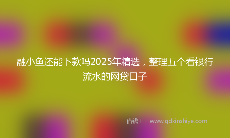 融小鱼还能下款吗2025年精选，整理五个看银行流水的网贷口子