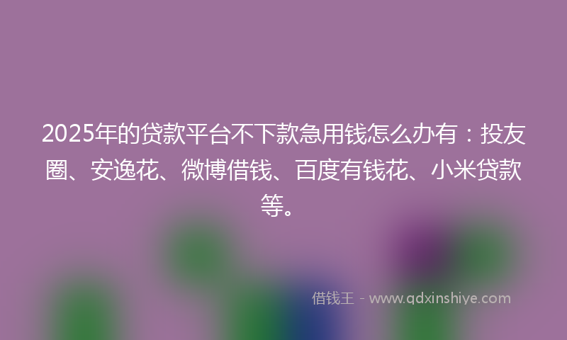 2025年的贷款平台不下款急用钱怎么办有：投友圈、安逸花、微博借钱、百度有钱花、小米贷款等。