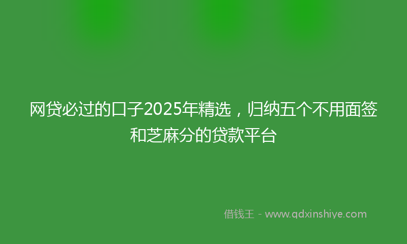 网贷必过的口子2025年精选，归纳五个不用面签和芝麻分的贷款平台