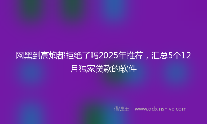 网黑到高炮都拒绝了吗2025年推荐，汇总5个12月独家贷款的软件