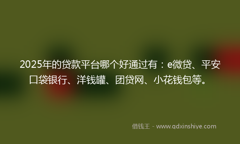 2025年的贷款平台哪个好通过有：e微贷、平安口袋银行、洋钱罐、团贷网、小花钱包等。