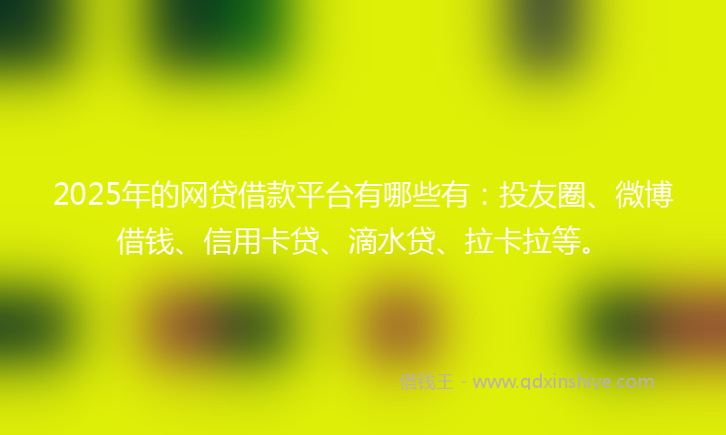 2025年的网贷借款平台有哪些有：投友圈、微博借钱、信用卡贷、滴水贷、拉卡拉等。