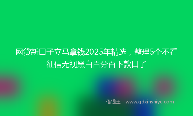 网贷新口子立马拿钱2025年精选，整理5个不看征信无视黑白百分百下款口子