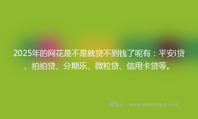 2025年的网花是不是就贷不到钱了呢有：平安i贷、拍拍贷、分期乐、微粒贷、信用卡贷等。