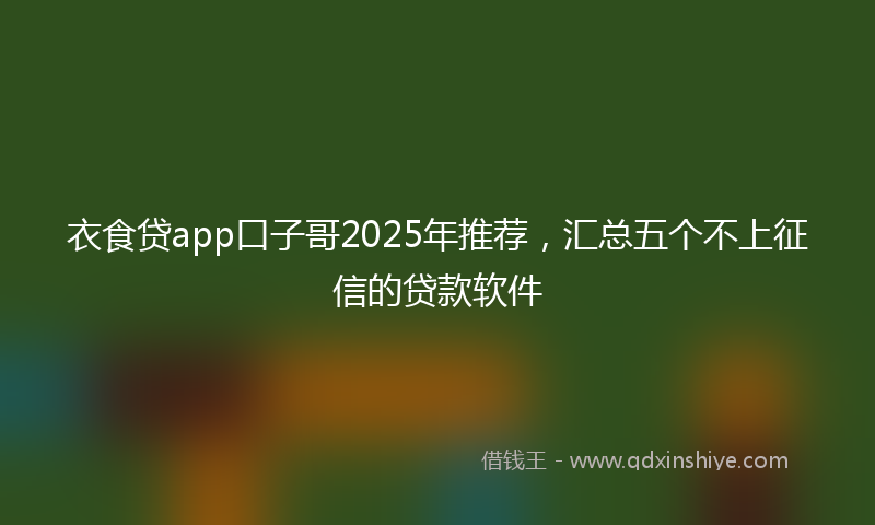 衣食贷app口子哥2025年推荐，汇总五个不上征信的贷款软件