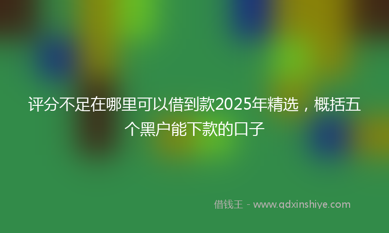 评分不足在哪里可以借到款2025年精选，概括五个黑户能下款的口子