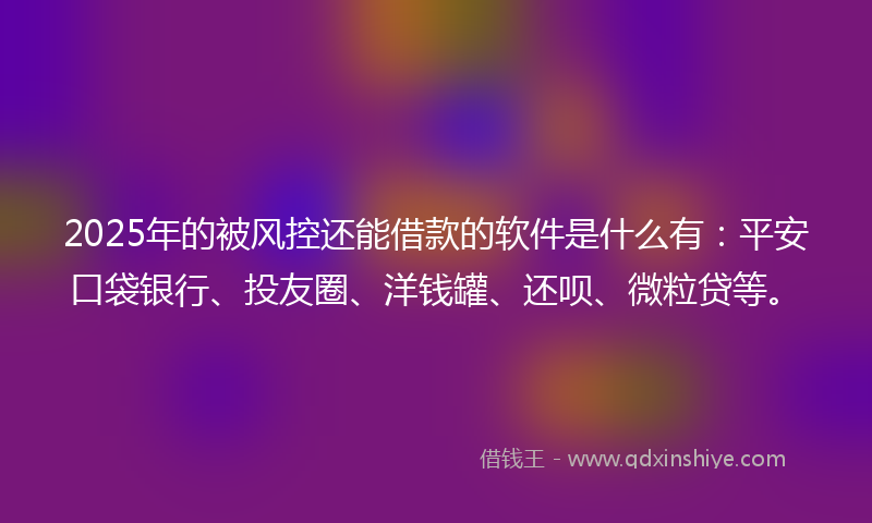 2025年的被风控还能借款的软件是什么有：平安口袋银行、投友圈、洋钱罐、还呗、微粒贷等。