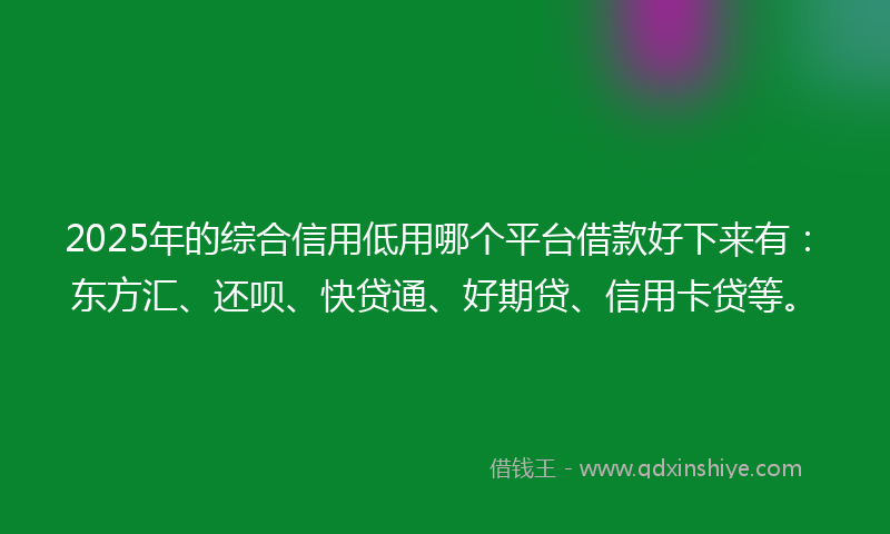 2025年的综合信用低用哪个平台借款好下来有：东方汇、还呗、快贷通、好期贷、信用卡贷等。