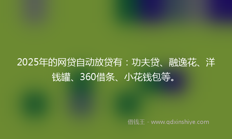 2025年的网贷自动放贷有：功夫贷、融逸花、洋钱罐、360借条、小花钱包等。