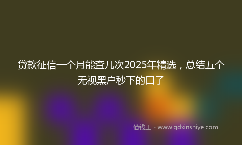 贷款征信一个月能查几次2025年精选，总结五个无视黑户秒下的口子