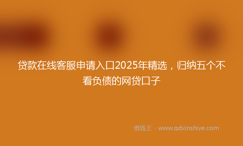 贷款在线客服申请入口2025年精选，归纳五个不看负债的网贷口子