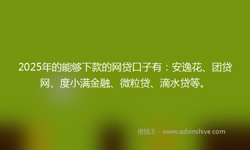 2025年的能够下款的网贷口子有：安逸花、团贷网、度小满金融、微粒贷、滴水贷等。