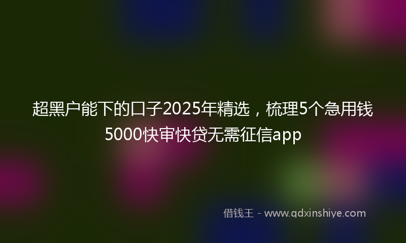 超黑户能下的口子2025年精选，梳理5个急用钱5000快审快贷无需征信app
