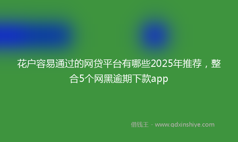 花户容易通过的网贷平台有哪些2025年推荐，整合5个网黑逾期下款app