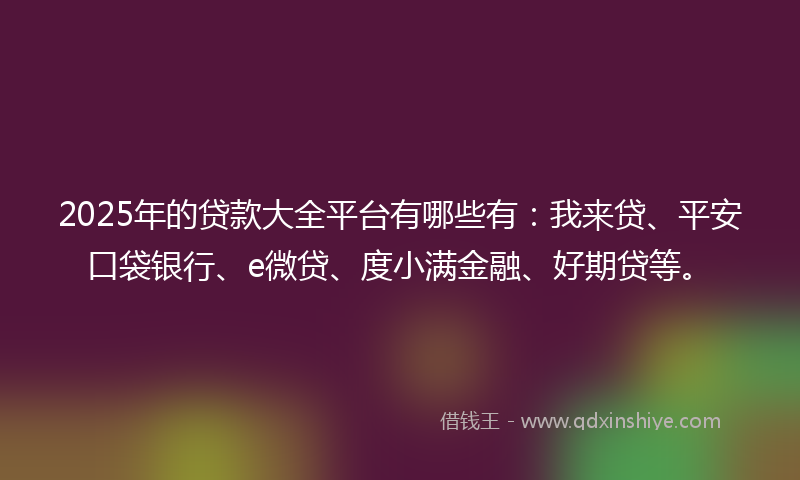 2025年的贷款大全平台有哪些有：我来贷、平安口袋银行、e微贷、度小满金融、好期贷等。