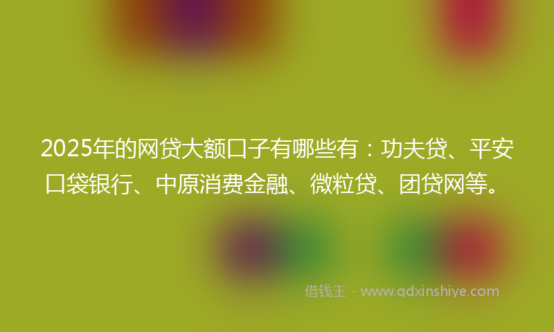 2025年的网贷大额口子有哪些有：功夫贷、平安口袋银行、中原消费金融、微粒贷、团贷网等。