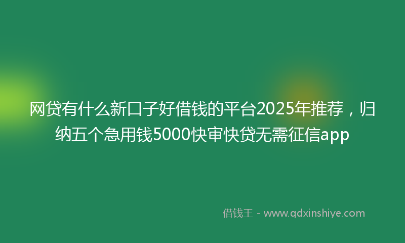 网贷有什么新口子好借钱的平台2025年推荐，归纳五个急用钱5000快审快贷无需征信app