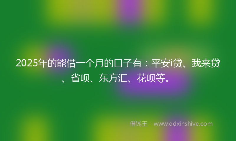 2025年的能借一个月的口子有：平安i贷、我来贷、省呗、东方汇、花呗等。