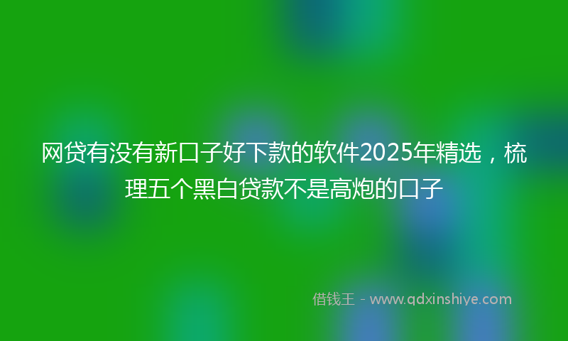 网贷有没有新口子好下款的软件2025年精选，梳理五个黑白贷款不是高炮的口子