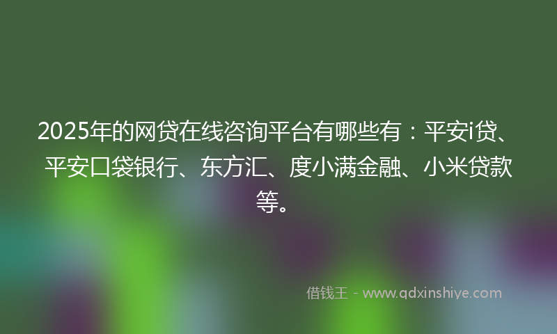 2025年的网贷在线咨询平台有哪些有：平安i贷、平安口袋银行、东方汇、度小满金融、小米贷款等。