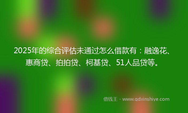 2025年的综合评估未通过怎么借款有：融逸花、惠商贷、拍拍贷、柯基贷、51人品贷等。