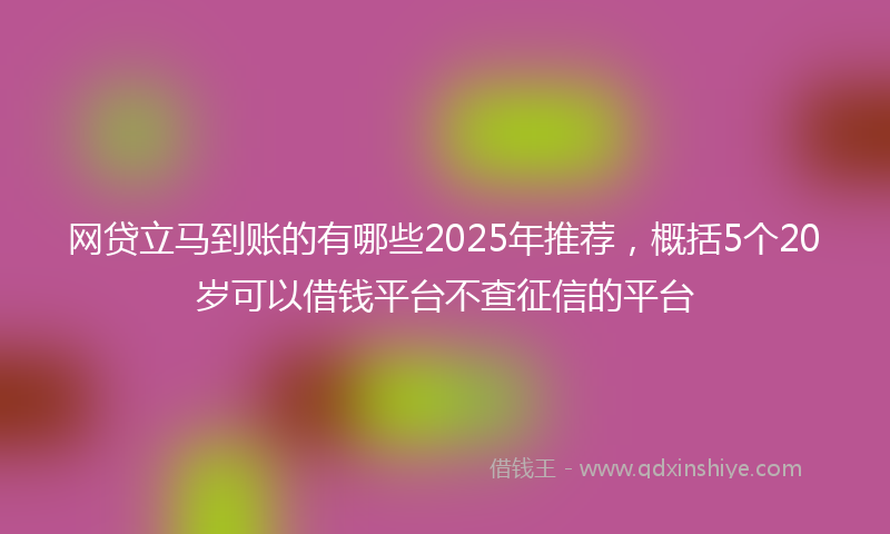 网贷立马到账的有哪些2025年推荐，概括5个20岁可以借钱平台不查征信的平台
