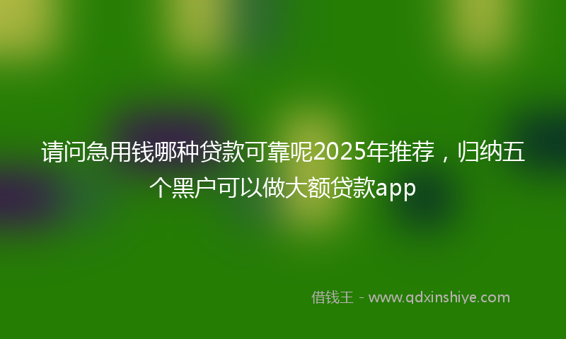 请问急用钱哪种贷款可靠呢2025年推荐，归纳五个黑户可以做大额贷款app