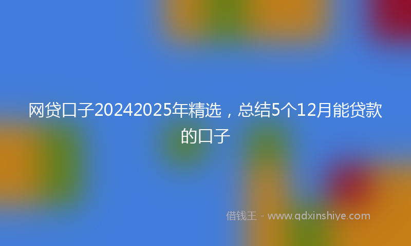 网贷口子20242025年精选，总结5个12月能贷款的口子