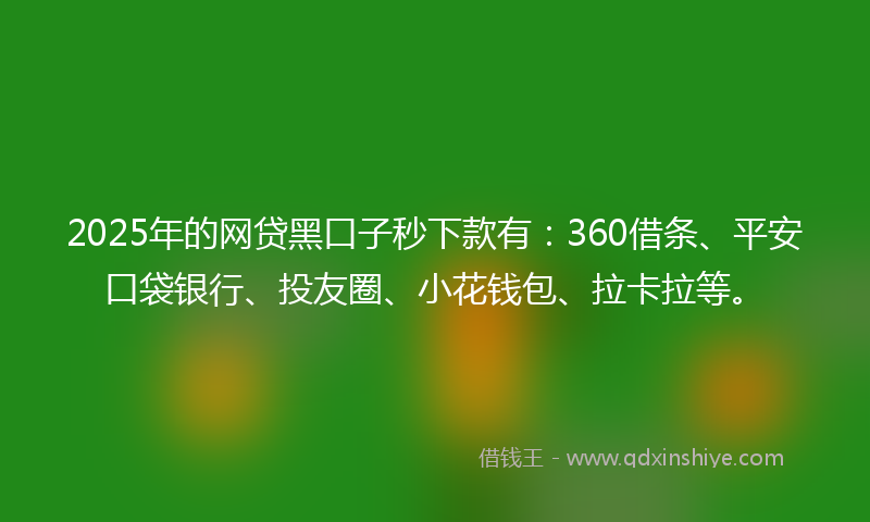 2025年的网贷黑口子秒下款有：360借条、平安口袋银行、投友圈、小花钱包、拉卡拉等。