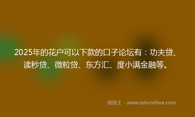 2025年的花户可以下款的口子论坛有：功夫贷、读秒贷、微粒贷、东方汇、度小满金融等。